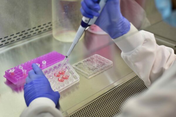 Entre recerca i clínica, la biologia sintètica defineix funcions